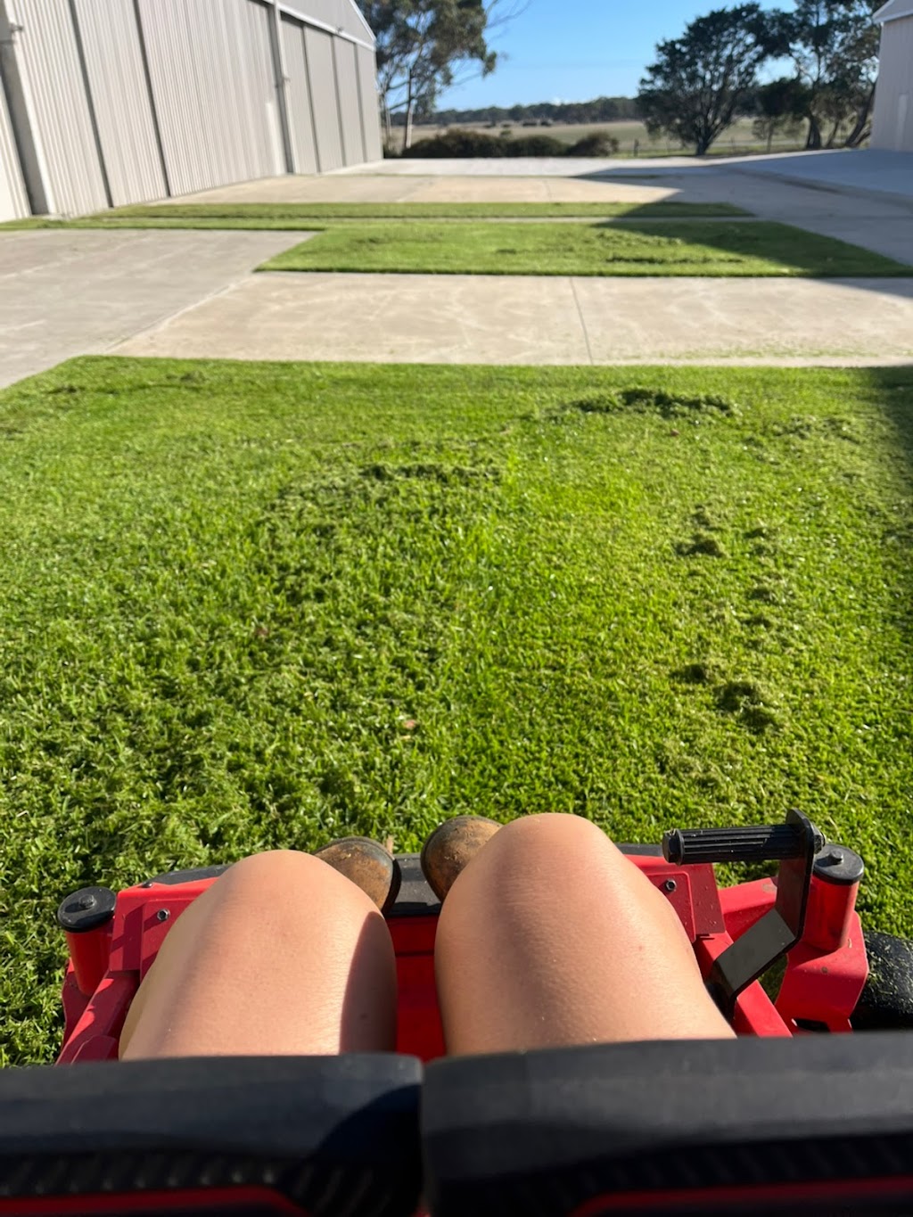 Antz Mowing & Garden Services | Tall Tree Rd, Lethbridge VIC 3332, Australia | Phone: 0422 248 971