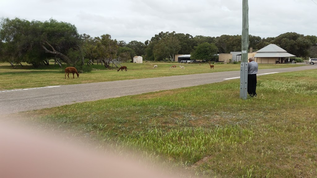 Central Greenough School | museum | 39 Gregory Rd, Greenough WA 6532, Australia | 99261084 OR +61 99261084