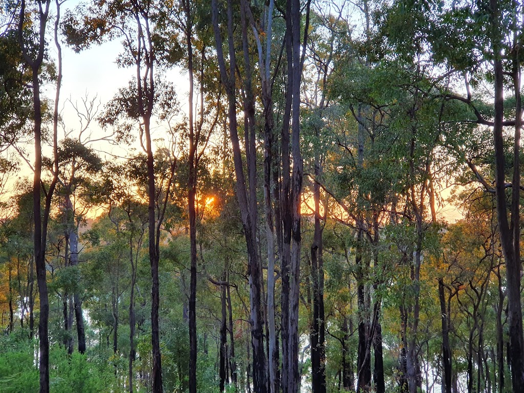 Lake Navarino camp site. | Lake Navarino Resort, 147 Invarell Rd, Waroona WA 6215, Australia | Phone: (08) 9733 3000