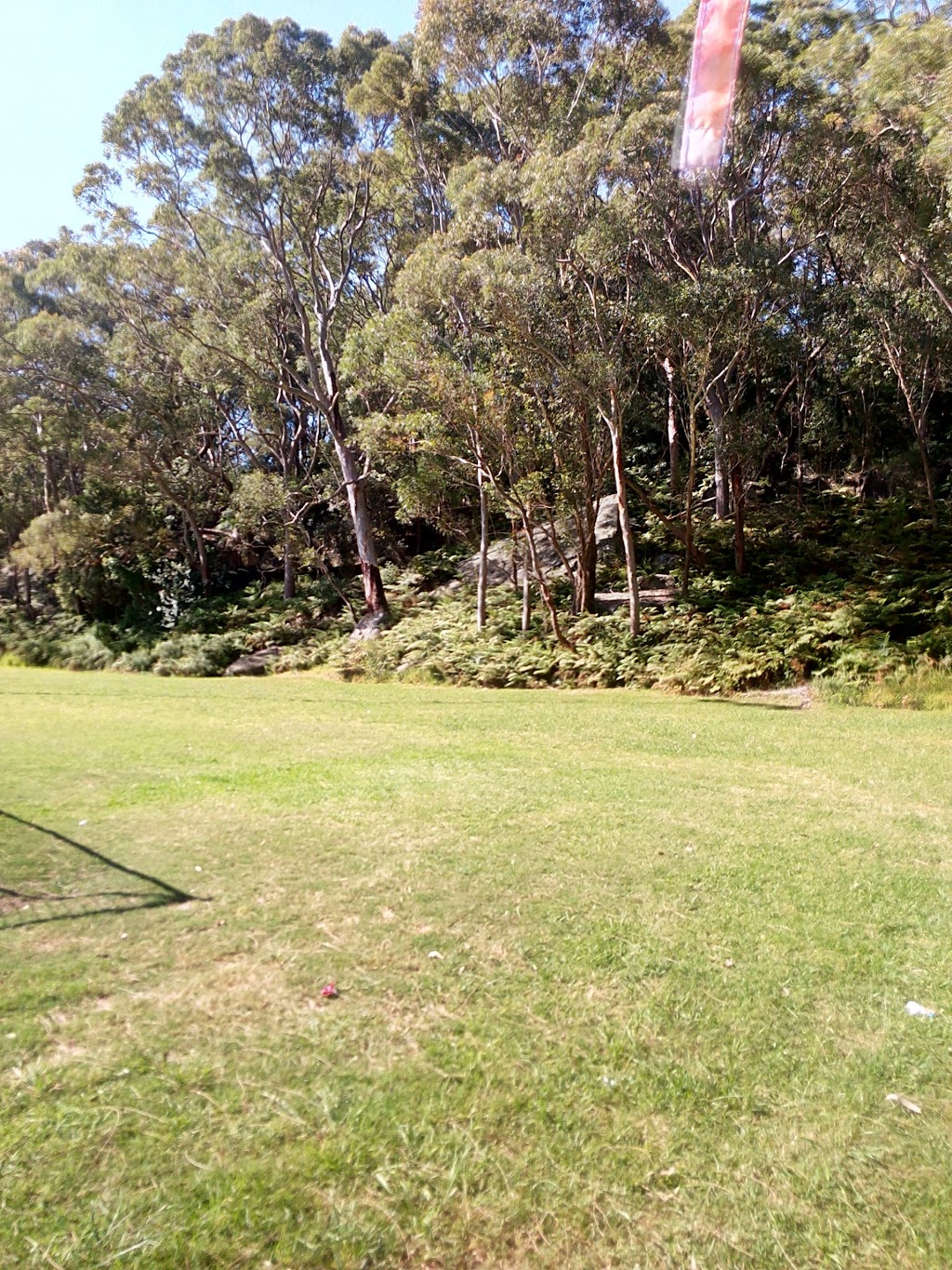 Bill Delauney Reserve | park | Revesby Heights NSW 2212, Australia | 0297079000 OR +61 2 9707 9000
