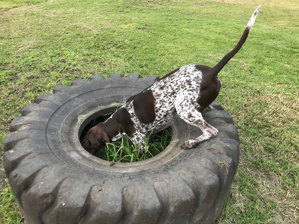 Marlee Country Kennels | 4814 Jalbarragup Rd, Kalgup WA 6280, Australia | Phone: (08) 9753 1351