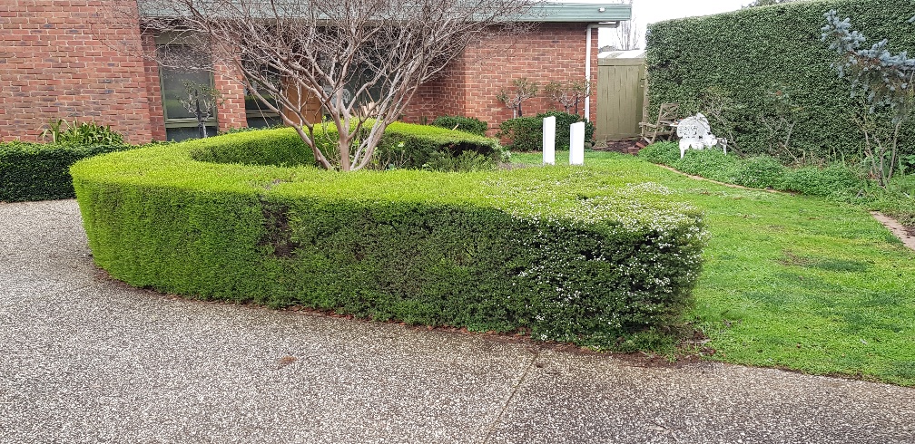 Dev’s Mowing | 64 Robertsons Rd, Taylors Lakes VIC 3038, Australia | Phone: 0415 480 041