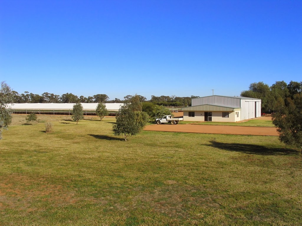 Grazing Management Systems PTY Ltd. | 690 Dandaloo St, Narromine NSW 2821, Australia | Phone: (02) 6889 4300