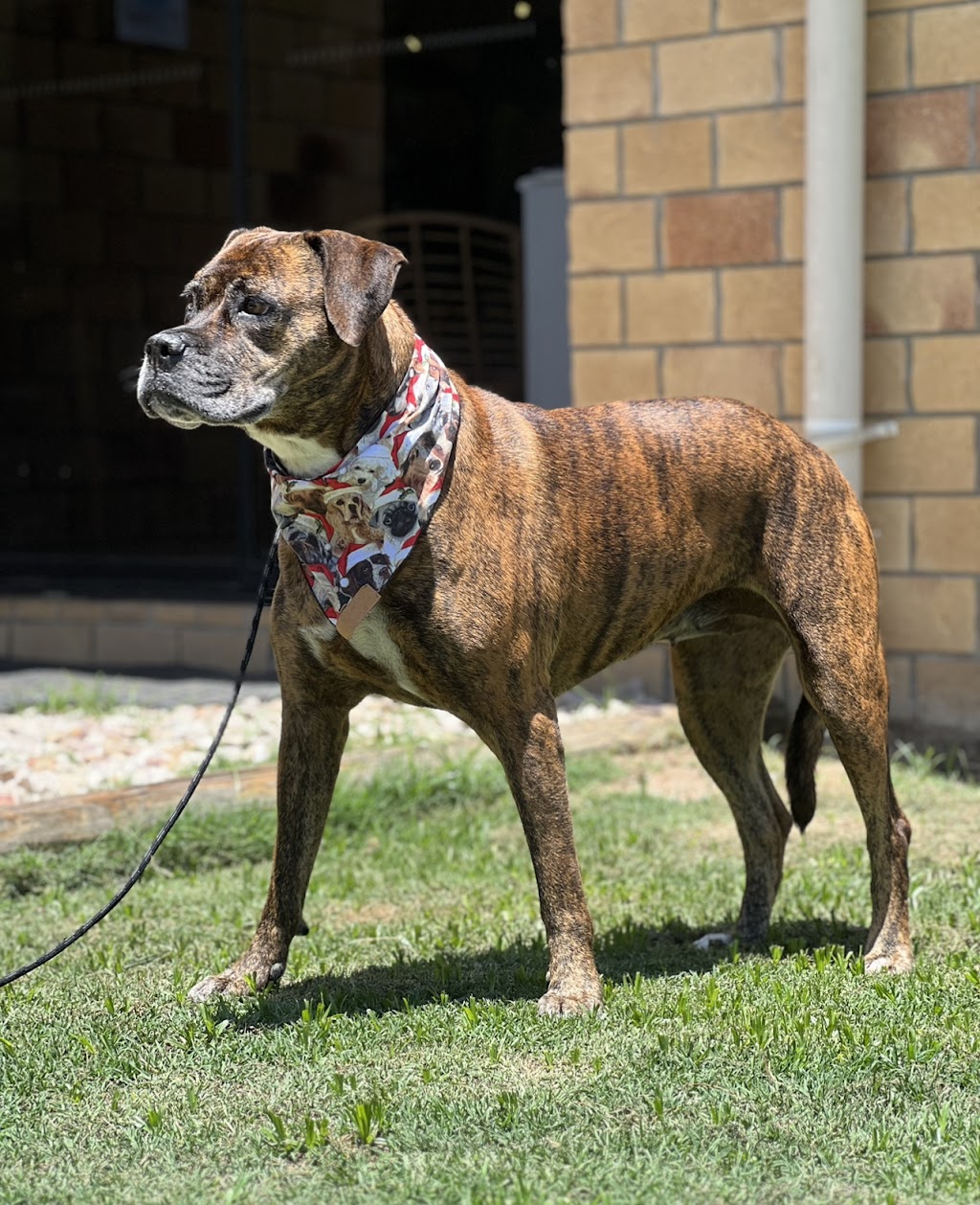 Barn House Co. | Lakes Dr, Laidley Heights QLD 4341, Australia | Phone: 0407 654 039