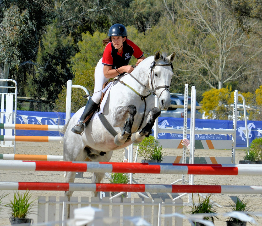 Albury Wodonga Equestrian Centre | campground | Corrys Rd & Roberts Rd, Thurgoona NSW 2640, Australia | 0427540467 OR +61 427 540 467