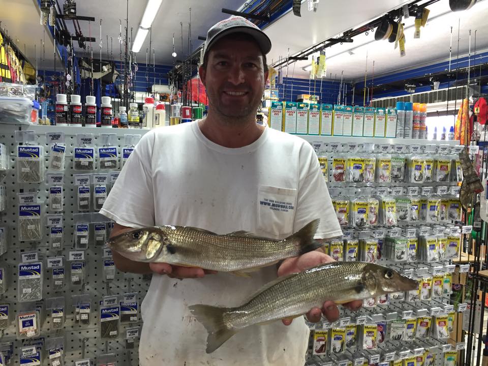 Jacobs Well Bait Tackle & Marine | store | The Esplanade Jacobs Well-Next to Boat Ramp & VMR, Jacobs Well QLD 4208, Australia | 0755462608 OR +61 7 5546 2608