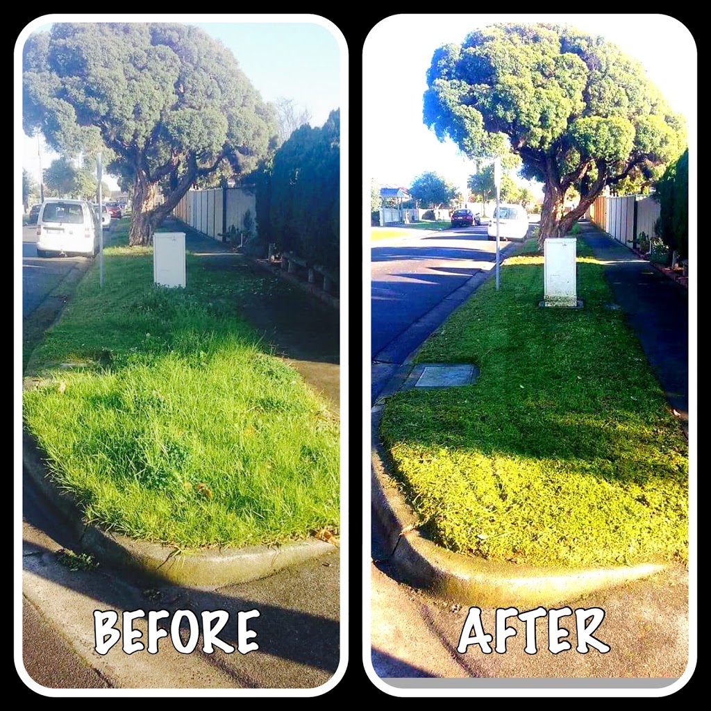 THE GREEN GRIFFIN - Lawn and Garden Maintenance | general contractor | 32 Orama Ave, Carrum Downs VIC 3201, Australia | 0423464071 OR +61 423 464 071