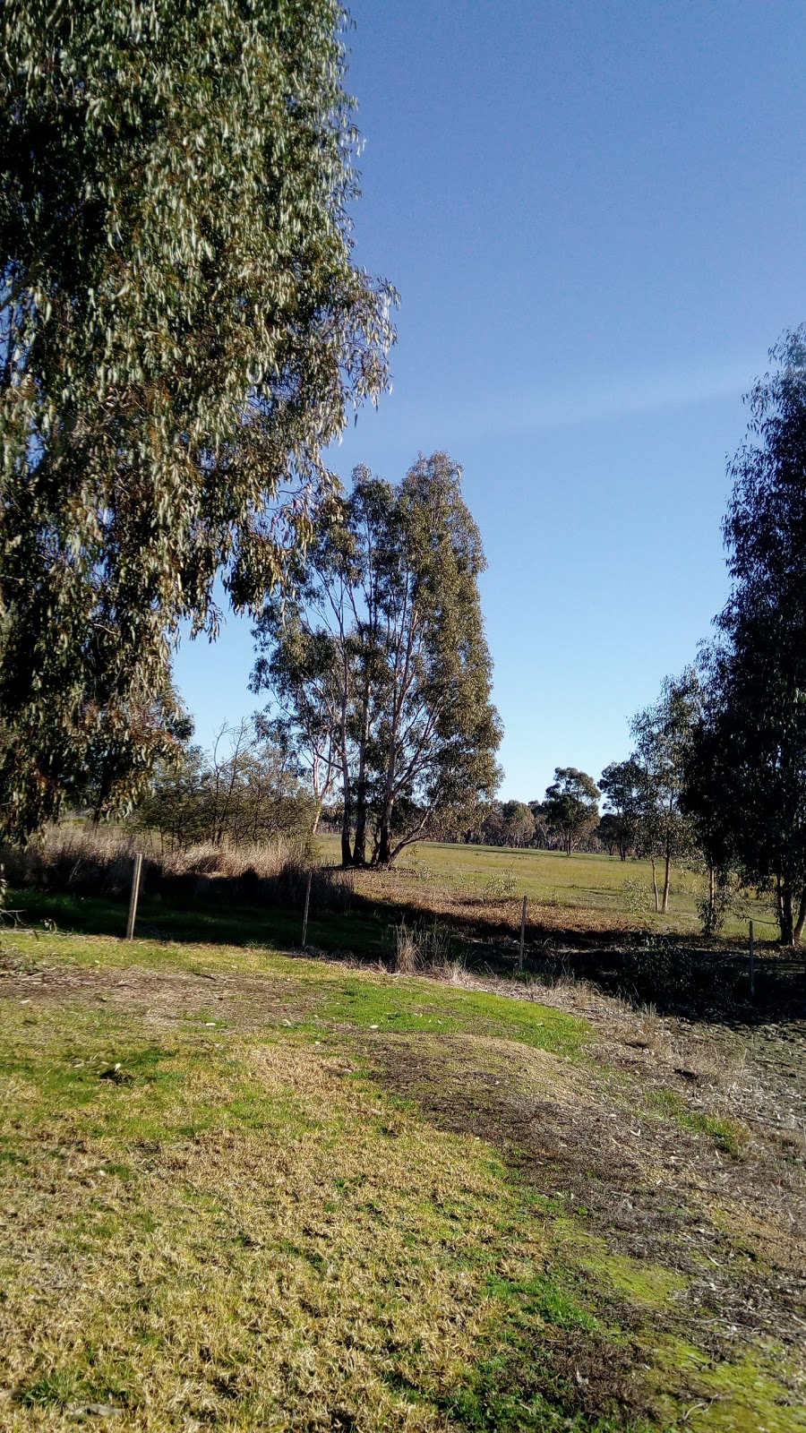 Wangaratta Common Nature Conservation Reserve | Tone Rd, Wangaratta VIC 3677, Australia | Phone: 13 19 63