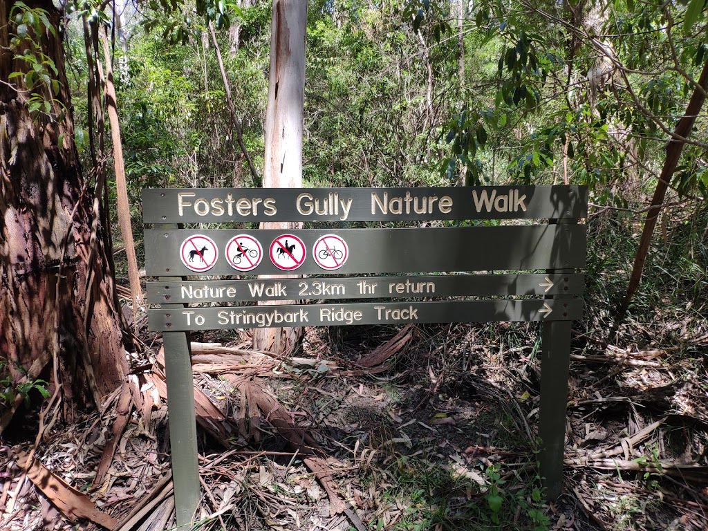 Fosters Gully Nature Walk | park | 25 Kerry Rd, Jeeralang Junction VIC 3840, Australia