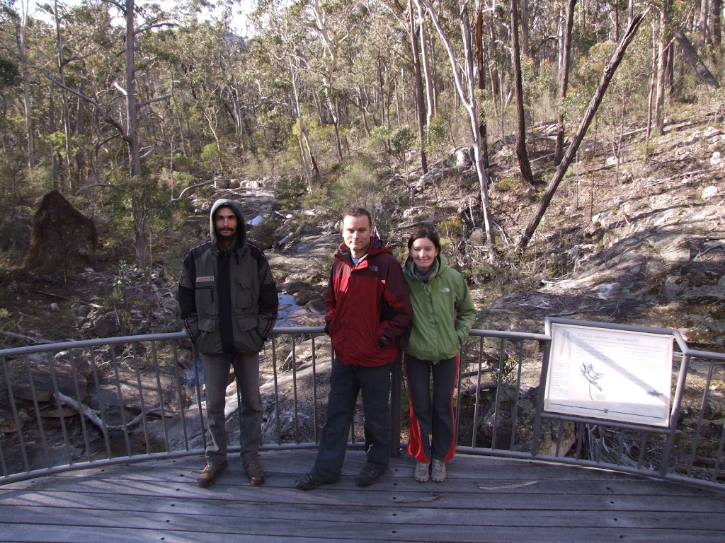 Myanba Gorge Picnic Area & Walking Track | Myanba Gorge Walking Track, Coolangubra NSW 2550, Australia | Phone: (02) 6458 5900