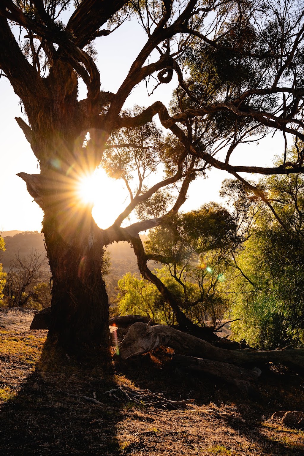 Eridani Retreat | 460 Upper Goulburn Rd, Tallarook VIC 3659, Australia | Phone: 0418 675 099