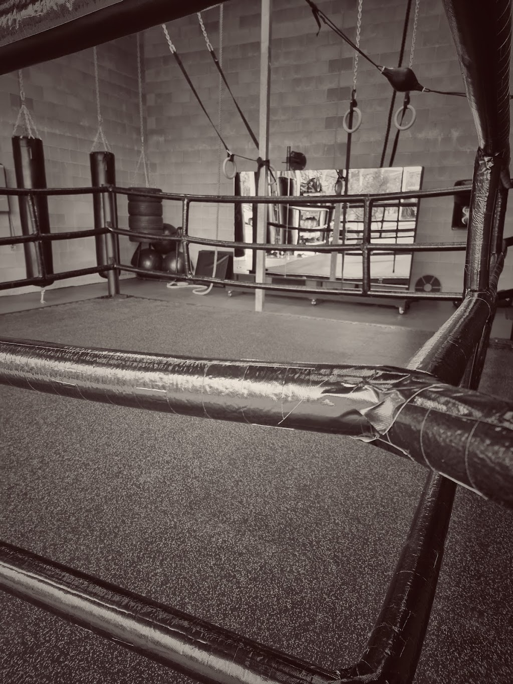 Against The Ropes | gym | 133 Denmans Camp Rd, Kawungan QLD 4655, Australia | 0478764470 OR +61 478 764 470