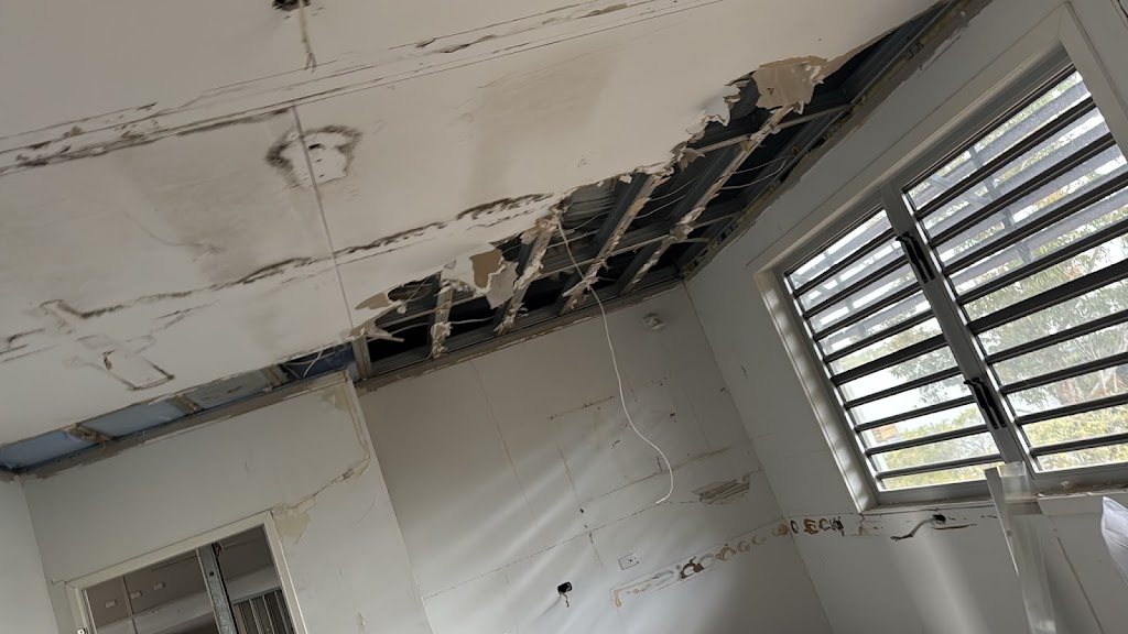 MouldMen - Mould Gone | 4/37 Expansion St, Molendinar QLD 4214, Australia | Phone: 1300 605 960