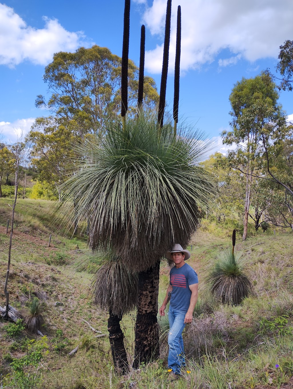 Larapinta Campers & Cows | 419 Christmas Creek Rd, Laravale QLD 4285, Australia | Phone: 0460 853 445