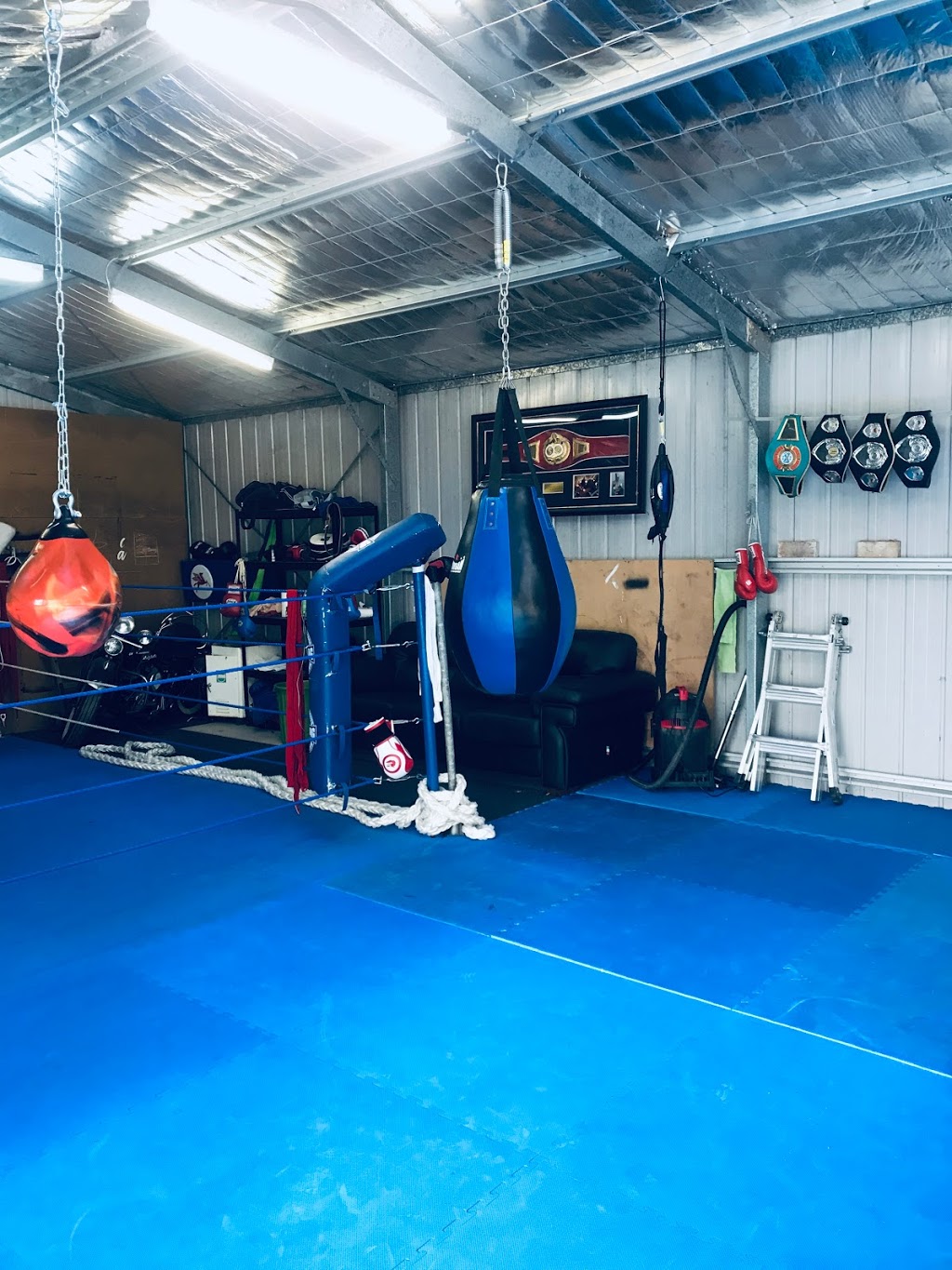 Compound Boxing Gymnasium | 28 Colwill Cres, Wolffdene QLD 4207, Australia | Phone: 0401 707 381