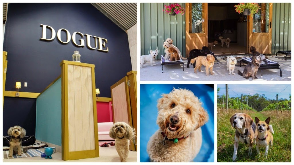 DOGUE Country Retreat | 112 Compton Park Rd, Berrima NSW 2577, Australia | Phone: (02) 4877 1877