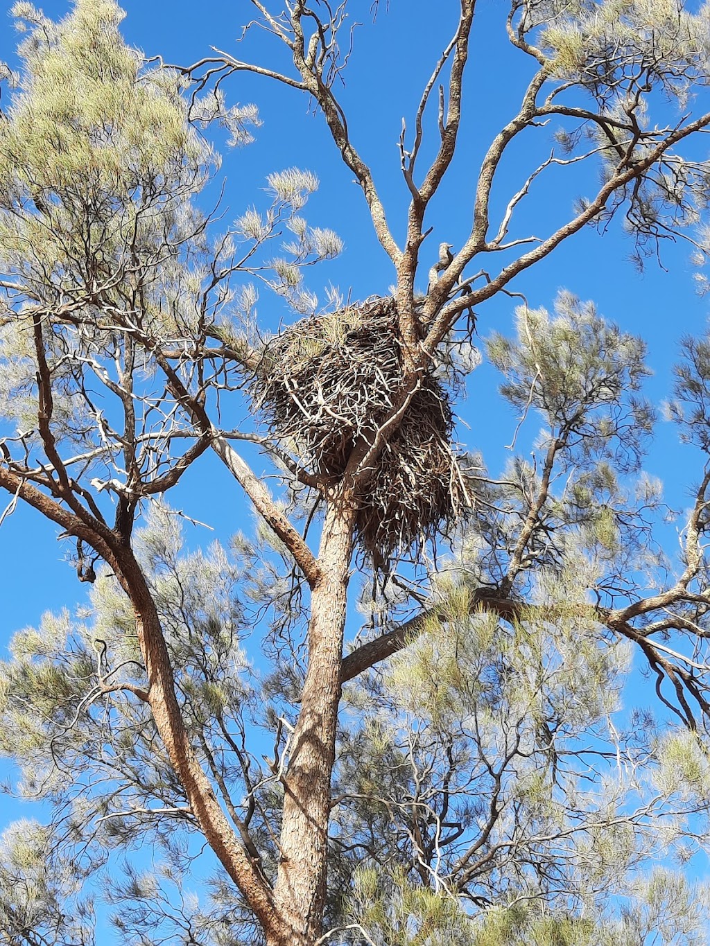 Mungo Guided Tours | Arumpo Rd, Arumpo NSW 2715, Australia | Phone: (03) 5029 7297