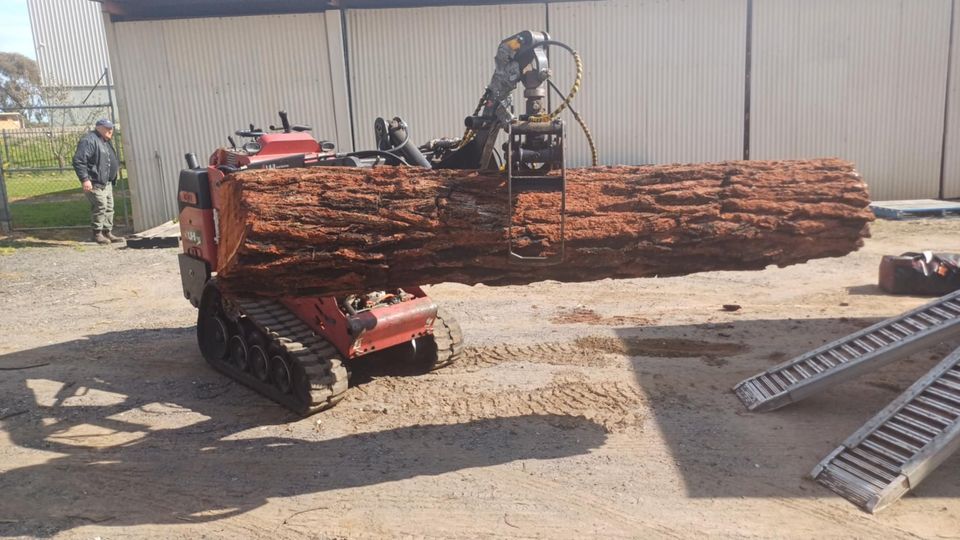 TBS Trees VIC | 152 Taylor St, Ascot VIC 3551, Australia | Phone: 0498 609 887