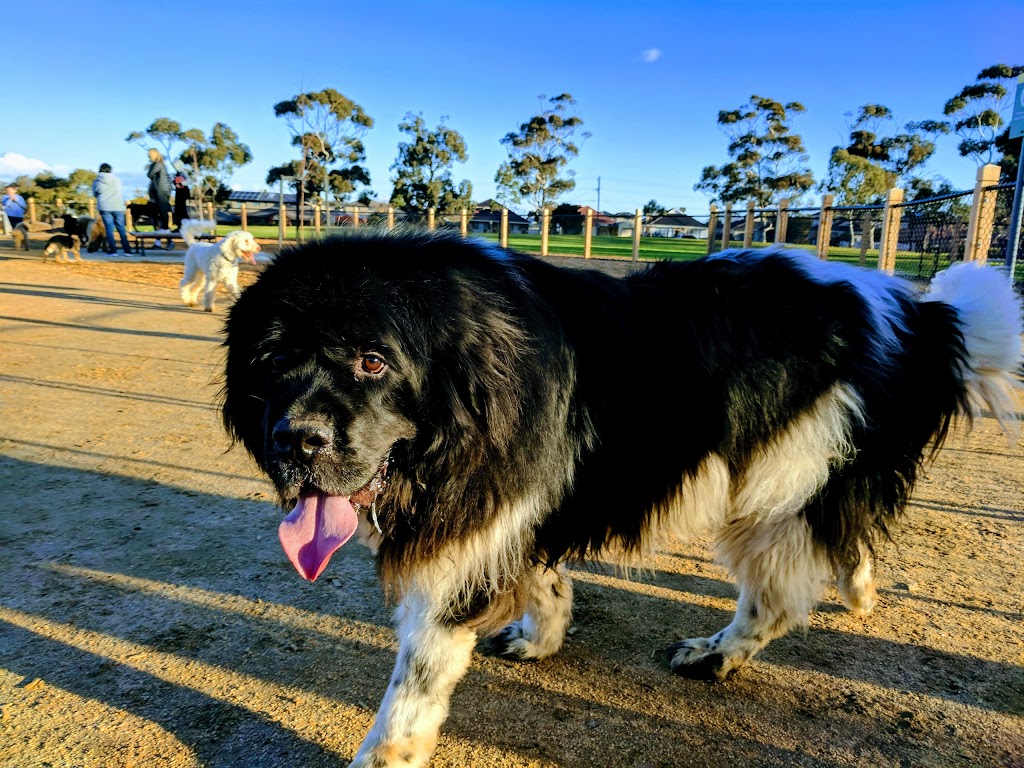 Alf Pearce Dog Park | park | 111 Carnarvon Rd, Strathmore VIC 3041, Australia