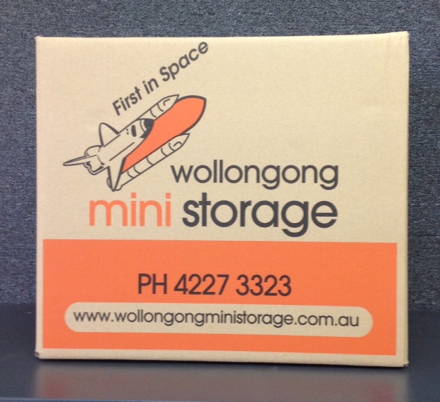 Wollongong Mini Storage | storage | 10 Rivulet Cres, Albion Park Rail NSW 2527, Australia | 0242574400 OR +61 2 4257 4400