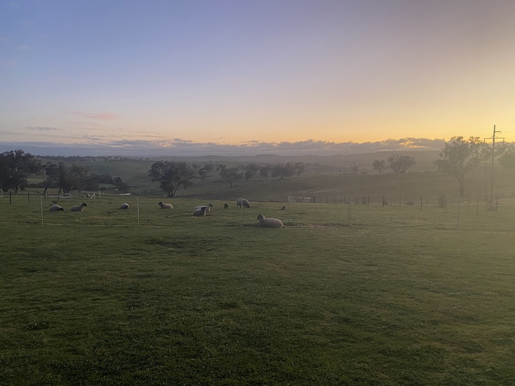 Red Hill Farmstay | 1554 Mid Western Hwy, Evans Plains NSW 2795, Australia | Phone: 0412 621 554