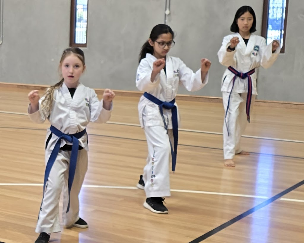Harmonious Dojang Australia | 91 Grand Scenic Dr, Brookfield VIC 3338, Australia | Phone: 0447 964 456