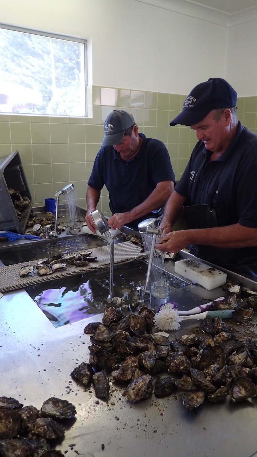 Shoalhaven Oyster Service | 32 Greenwell Point Rd, Greenwell Point NSW 2540, Australia | Phone: (02) 4447 1290