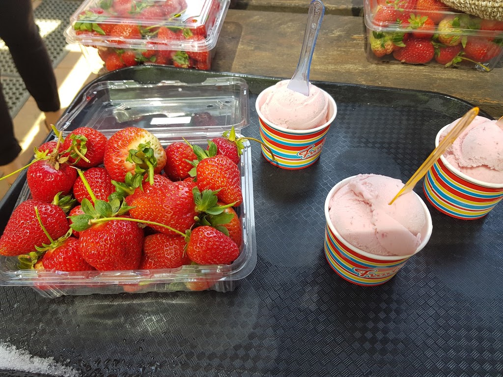 Sunny Ridge Strawberry Farm | 244 Shands Rd, Main Ridge VIC 3928, Australia | Phone: (03) 5989 4500