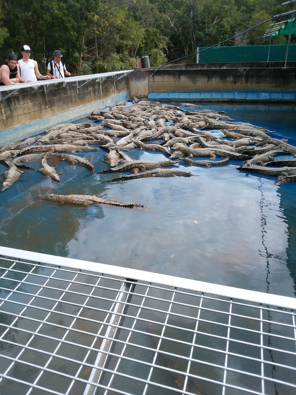 Mount Whitfield Conservation Park | Collins Ave, Whitfield QLD 4870, Australia | Phone: 13 74 68