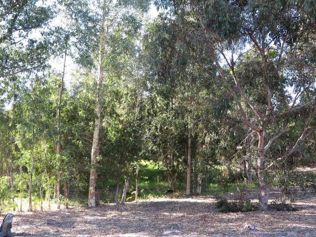 Broadway Arboretum | park | Bassendean WA 6054, Australia