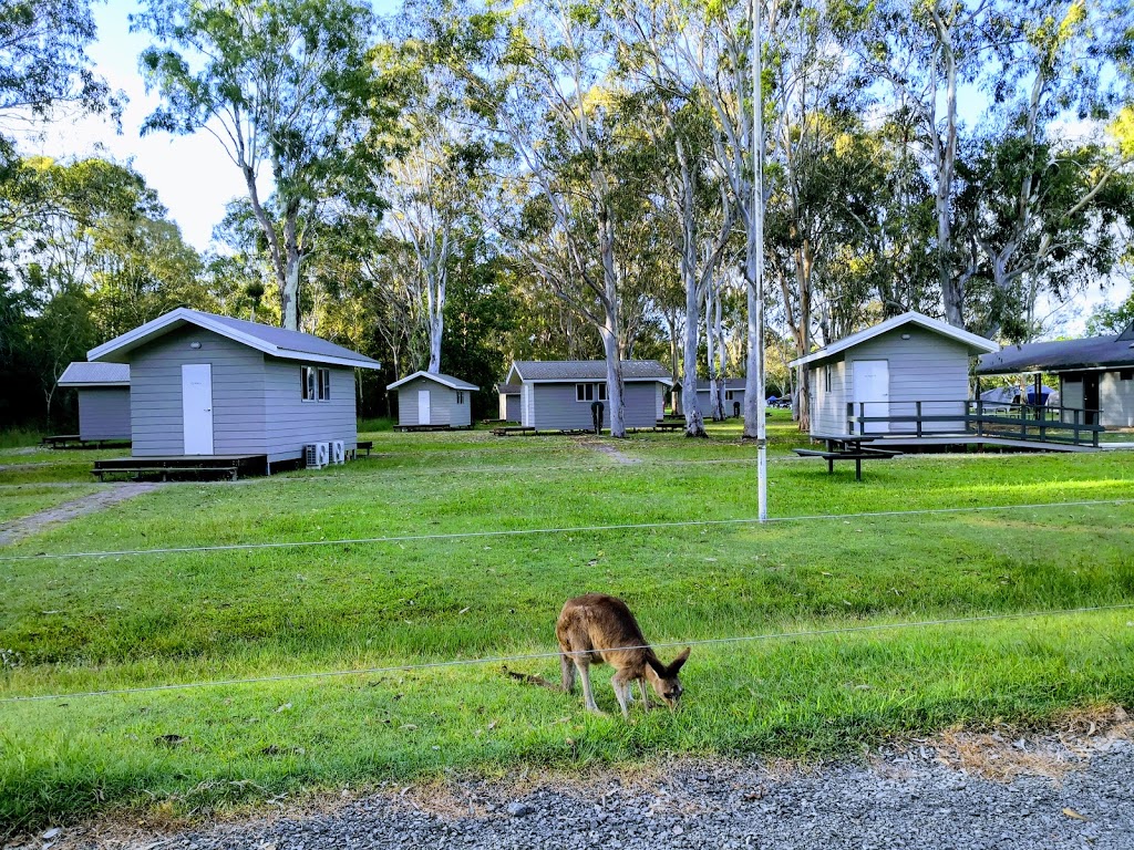 Habitat Noosa | campground | Lake Flat Rd, Boreen Point QLD 4565, Australia | 0754853165 OR +61 7 5485 3165