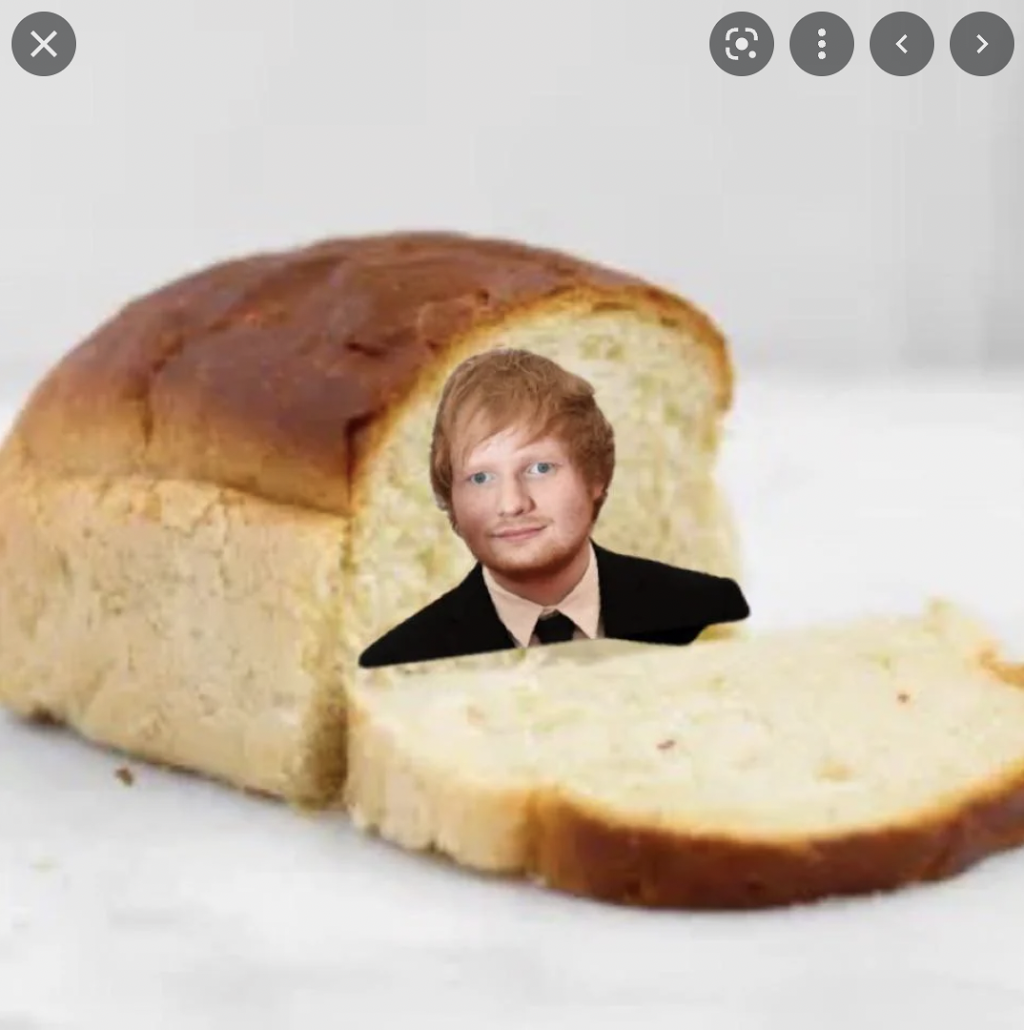 Finding Bread Sheeran | 59 Moore Ct, Castella VIC 3777, Australia | Phone: 0491 182 157