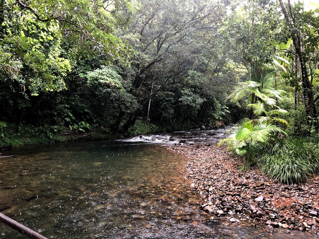 Noah Creek | lodging | Cape Tribulation Rd, Noah QLD 4873, Australia | 0740989297 OR +61 7 4098 9297