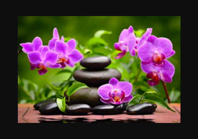St. Ives Traditional Massage Therapy | spa | 3 Denley Ln, St. Ives NSW 2075, Australia | 0299831596 OR +61 2 9983 1596