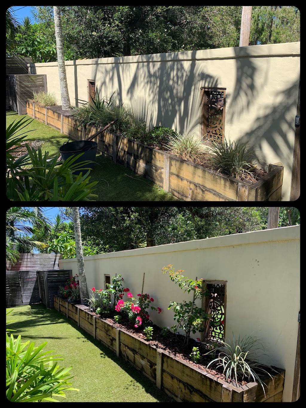 Viriditas Gardens | 1141A Main Arm Rd, Upper Main Arm NSW 2482, Australia | Phone: 0402 089 573