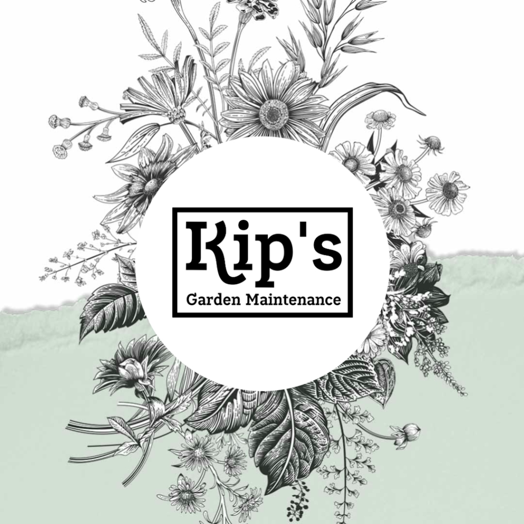 Kips Garden Maintenance | general contractor | 40 Donkin St, Scarborough QLD 4020, Australia | 0405975399 OR +61 405 975 399