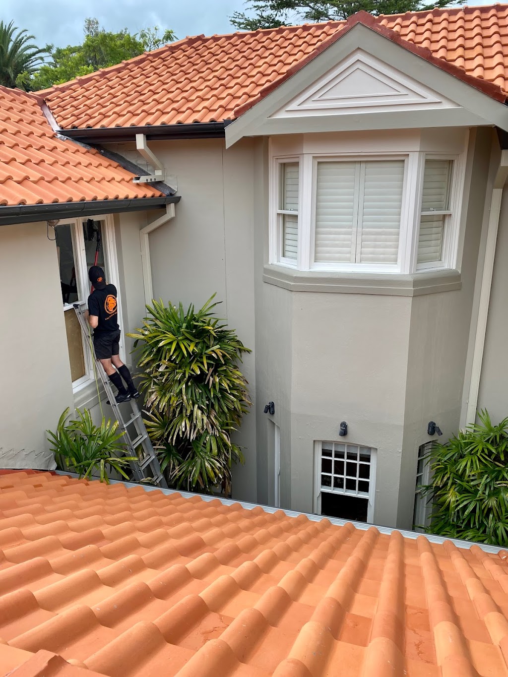 LION WINDOW CLEANING | 11 Dakara Dr, Frenchs Forest NSW 2086, Australia | Phone: 0420 936 771