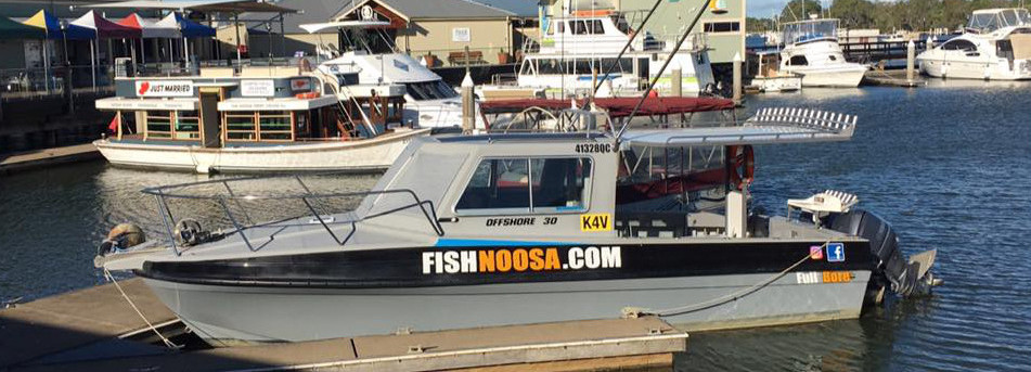 Fish Noosa | travel agency | Noosa Harbour, 2 Parkyn Court, Tewantin QLD 4565, Australia | 0421752382 OR +61 421 752 382