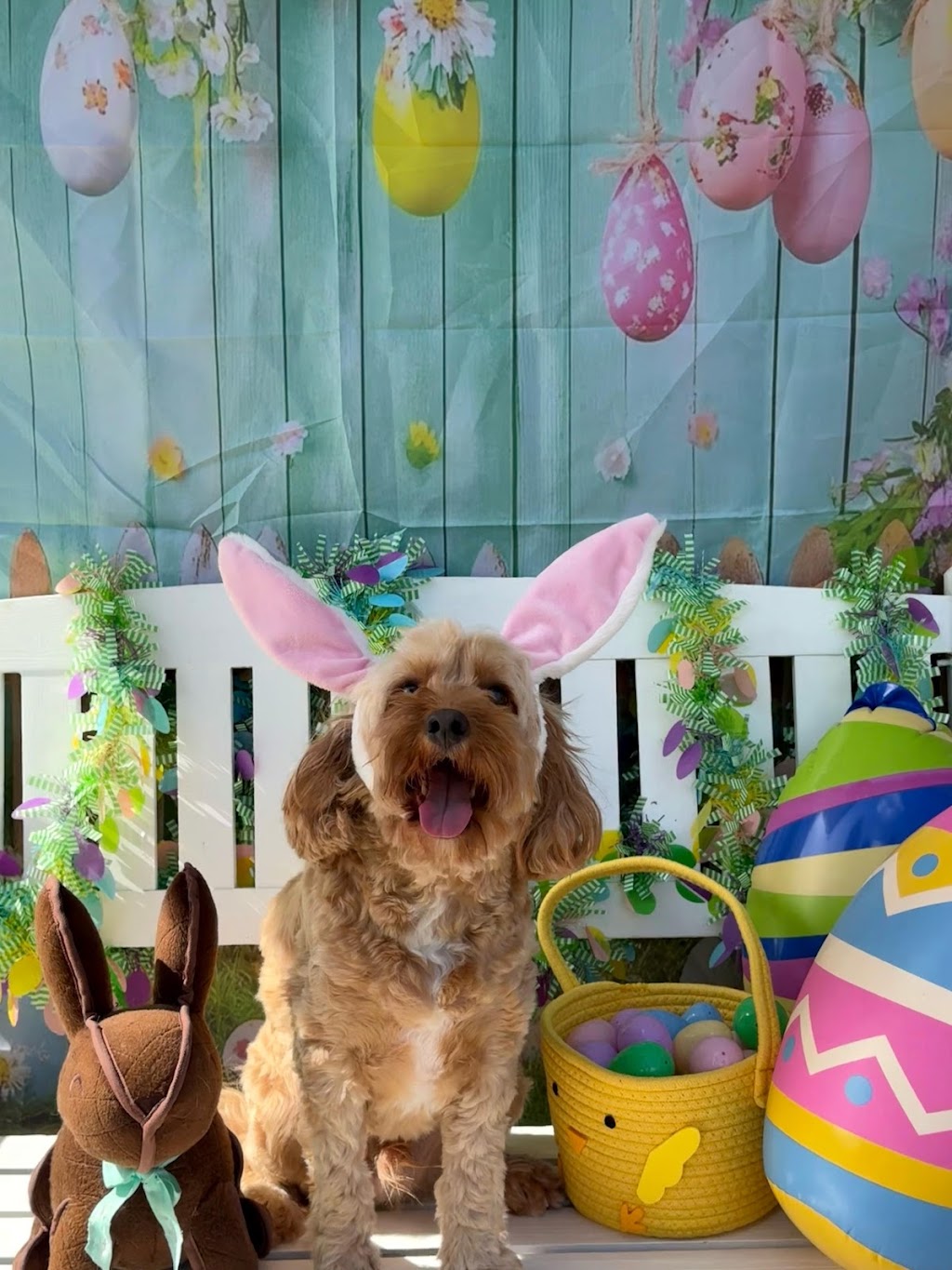 Hunter and Furends | N Liverpool Rd, Mount Pritchard NSW 2170, Australia | Phone: 0403 888 631