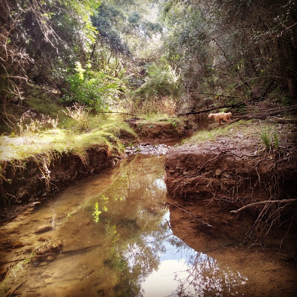 Tiny Farm Sydney | 195 Williamswood Rd, Mount Hunter NSW 2570, Australia | Phone: 0416 196 668