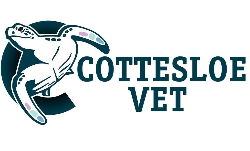 Cottesloe Vet | veterinary care | 597 Stirling Hwy, Cottesloe WA 6011, Australia | 0893841877 OR +61 8 9384 1877