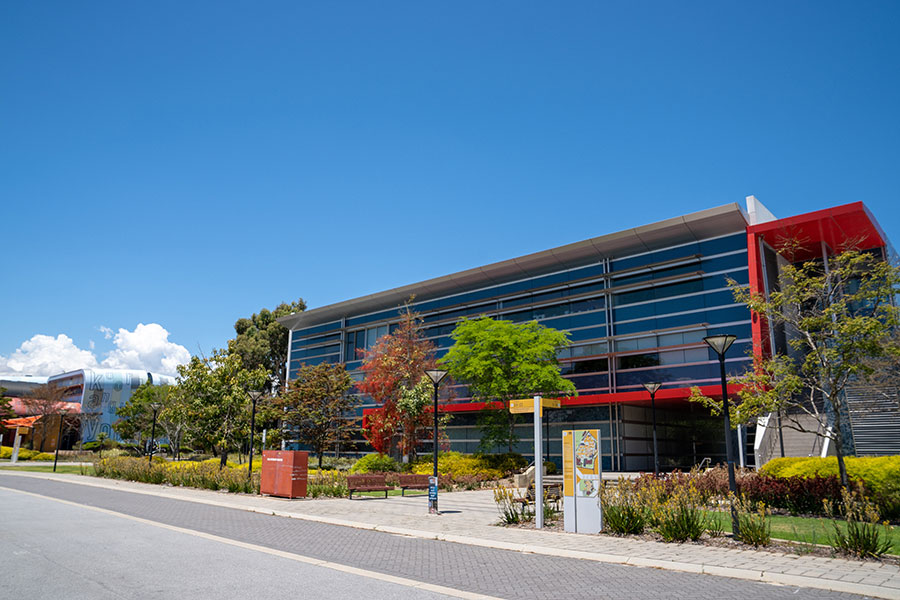 Edith Cowan University (ECU), Mount Lawley Campus | university | 2 Bradford St, Mount Lawley WA 6050, Australia | 134328 OR +61 134328