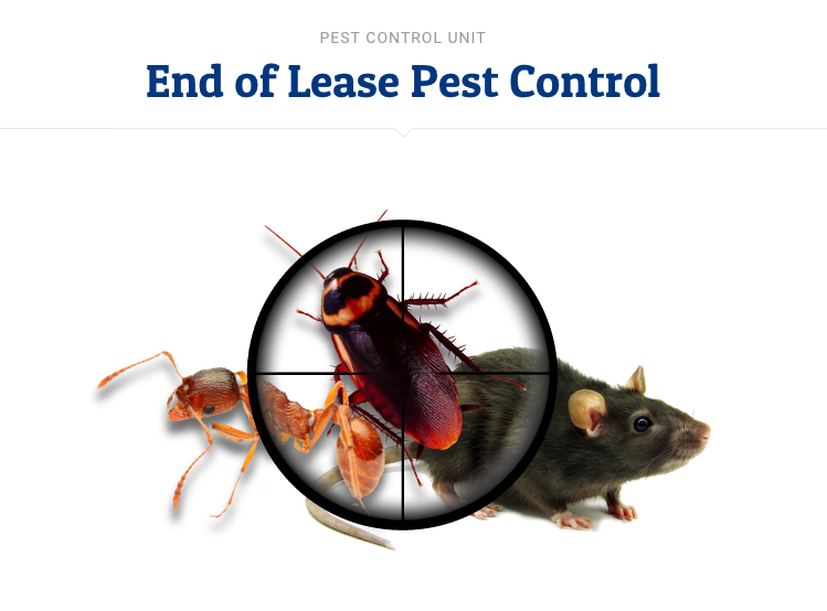Pest Control Unit | 2 Leander St, Footscray VIC 3011, Australia | Phone: 0430 124 748
