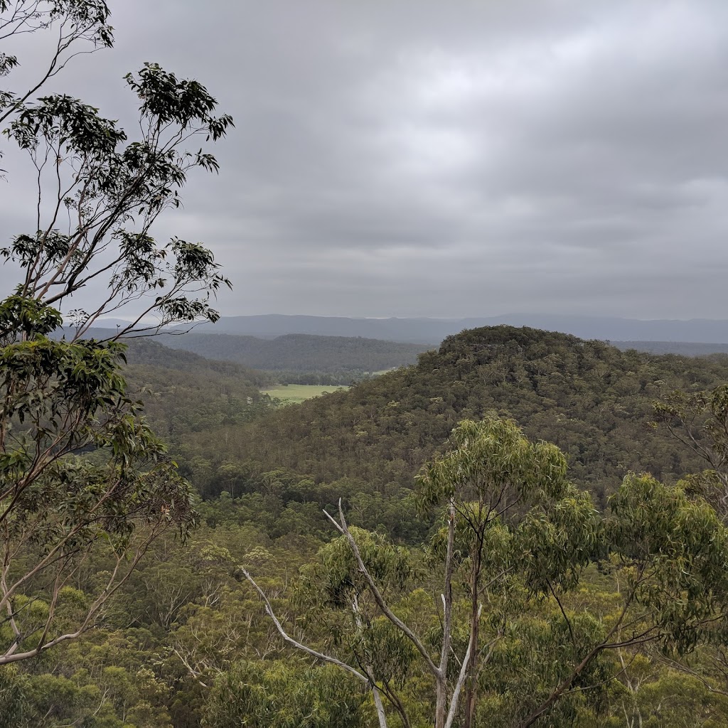 Colymea State Conservation Area | park | Barringella NSW 2540, Australia