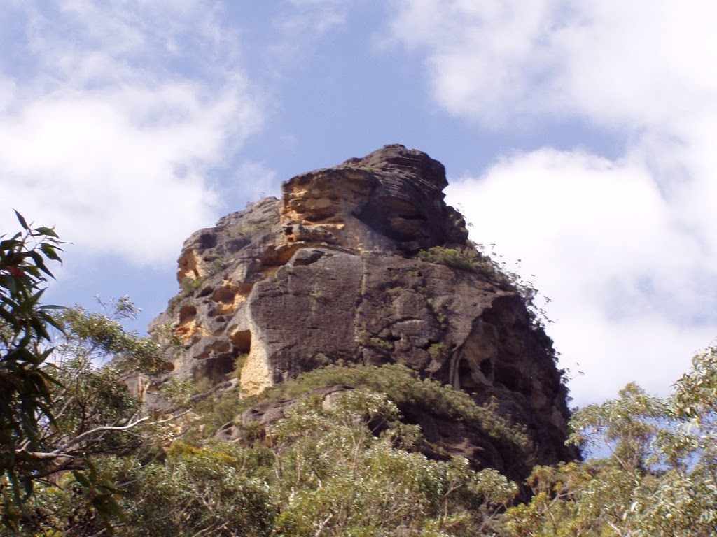 Long Gully Campground | campground | The Castle Walking Track, Yadboro NSW 2539, Australia