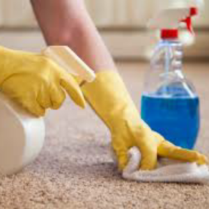 Total Carpet Cleaning | laundry | 5 Hunter St, Campbelltown NSW 2560, Australia | 0410209042 OR +61 410 209 042