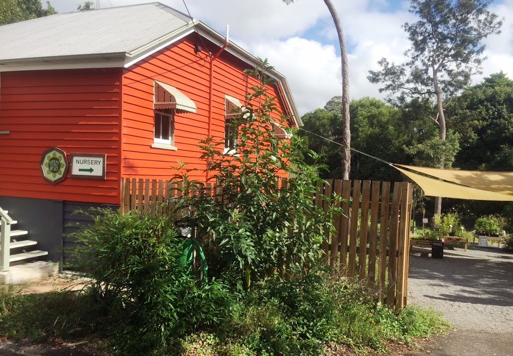 Forest Heart EcoNursery | book store | 20 Coral St, Maleny QLD 4552, Australia | 0754352193 OR +61 7 5435 2193