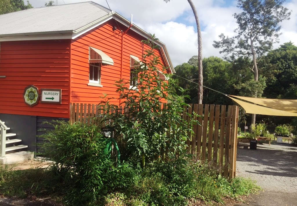 Forest Heart EcoNursery | 20 Coral St, Maleny QLD 4552, Australia | Phone: (07) 5435 2193