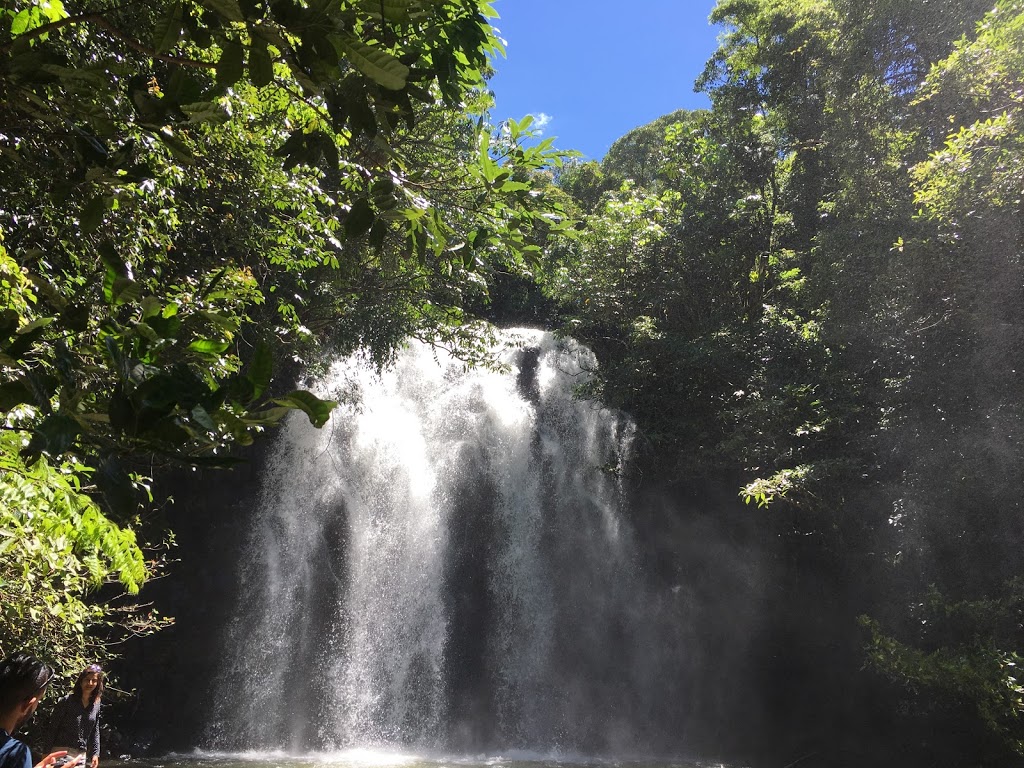 Tchupala Falls | Palmerston Hwy, Wooroonooran QLD 4860, Australia | Phone: 13 74 68