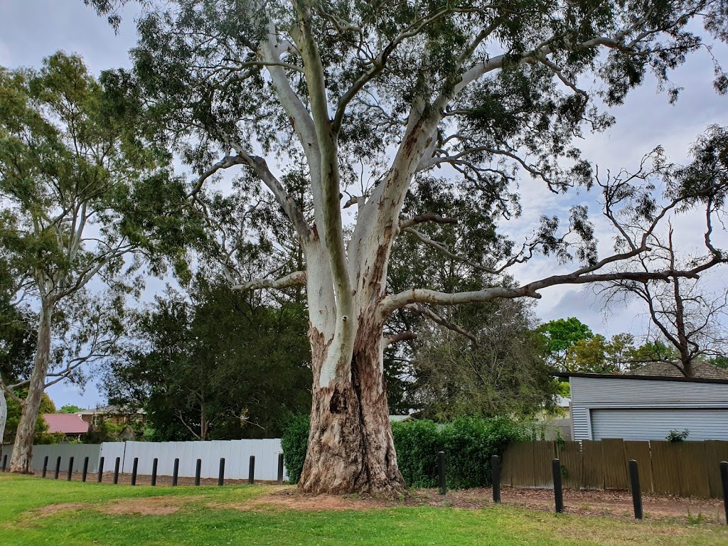 The Bill Cooper Oval | park | 1-31 Newland Rd, Erindale SA 5066, Australia